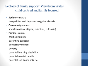 Family Support Ecology in Wales: A Presentation