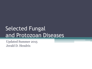 Selected Fungal, Protozoan, and Parasite Diseases