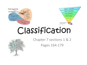 Classification - My Teacher Pages
