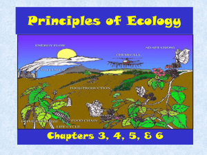 Principles of Ecology
