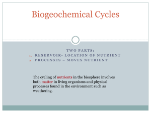 Biogeochemical Cycles