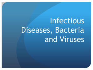 VIRUSES - sarabrennan