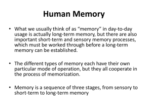 Human Memory: Sensory, Short-Term, Long-Term Memory
