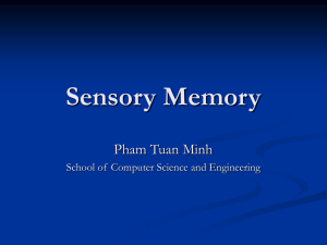 Sensory Memory: Iconic & Echoic Memory Explained