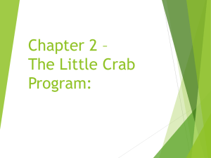 Chapter 2 - The First Program: Little Crab