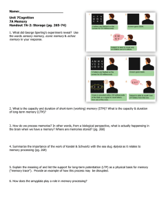 Memory Storage: Cognition Handout