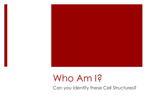 Who Am I? - Warren County Schools