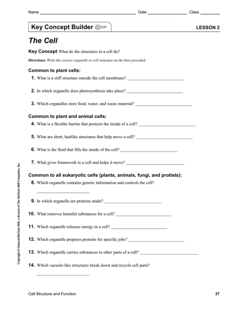 The Cell