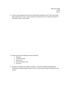 1E Worksheet