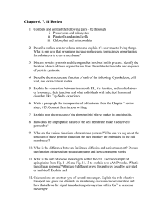 Cell Biology Review: Prokaryotes, Eukaryotes, Membranes, Signaling