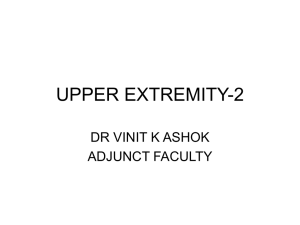 UPPER EXTREMITY-2