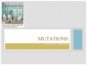 Micromutations notes