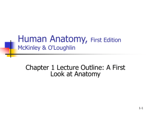 1 Introduction - Orange Coast College