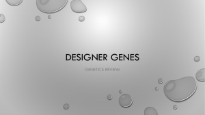 Designer Genes: Genetics Review Presentation