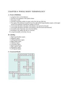 Anatomy Terminology Worksheet: Whole Body Terms