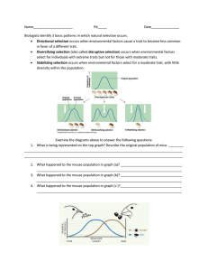 Natural Selection Worksheet: Directional, Diversifying, Stabilizing