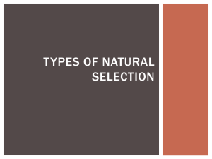 Types of Natural Selection