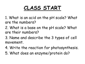 Biology Class Notes: Photosynthesis & Cellular Respiration