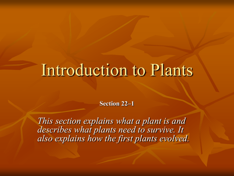 what-do-plants-need-pdf-pdf-soil-plants