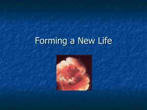 Forming a new Life - St. Edwards University