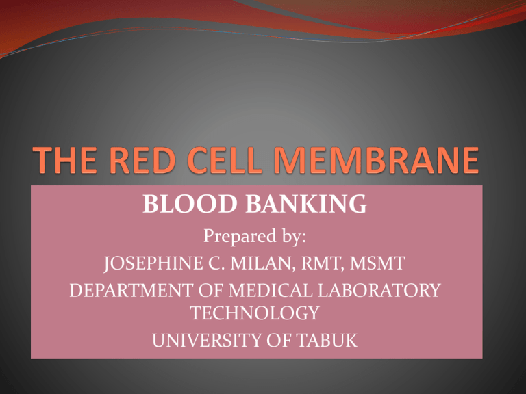 THE RED CELL MEMBRANE