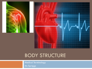 Body Structure