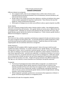 Lesson 2 - Gender Expression