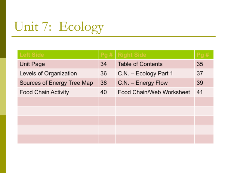 energy-flow