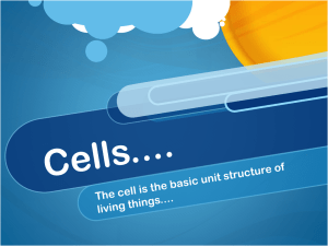 Cells.