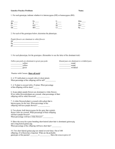 Genetics Practice Problems Worksheet