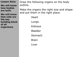 Lesson Aims We will know how bodies are built. We will know that