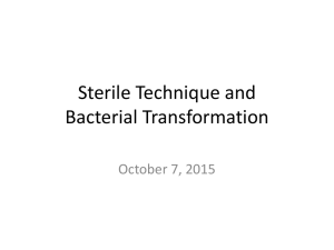 2015 teachers prof dev- bacteria transformation lecture