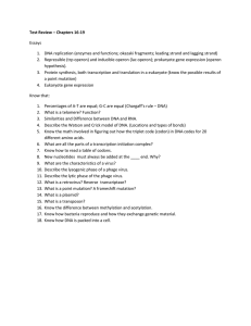 Biology Test Review: DNA, Gene Expression, Protein Synthesis