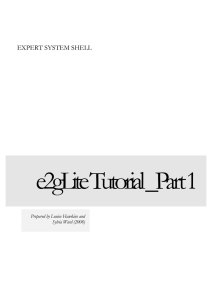 e2gLite Expert System Tutorial: Build Your Knowledge Base