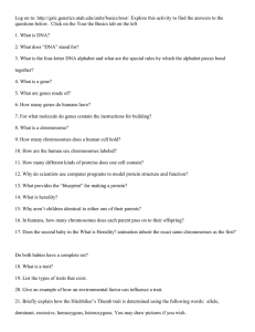 DNA webquest in Word format