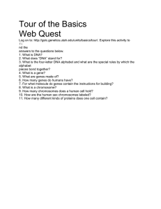 Tour of the Basics Web Quest Log on to: http://gslc.genetics.utah.edu