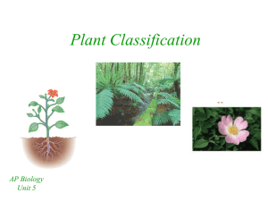 Plant Classification - Bremen High School District 228