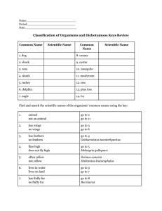 Organism Classification & Dichotomous Keys Worksheet