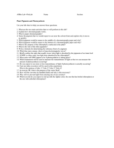 Plant Pigments & Photosynthesis Lab Pre-Assignment