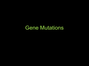I can explain the three causes of gene mutation