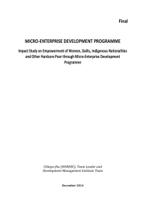 Final Report GESI Impact Study MEDEP 2014