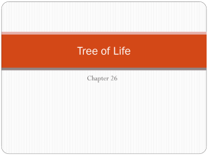 Introduction to Biological Diversity