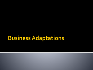 Business Adaptations