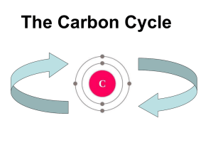 The Carbon Cycle - M. Lang Standring