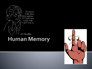 Human Memory