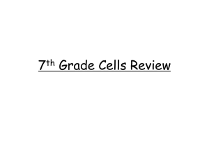 7th Grade Cells Review