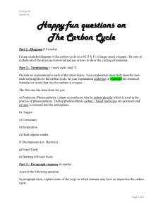 Happy-fun questions on The Carbon Cycle