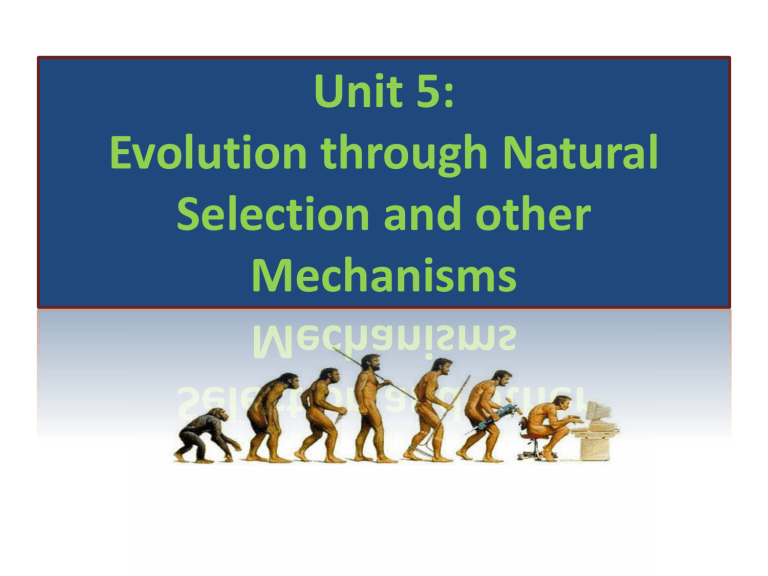 Unit 5 Evolution through Natural Selection and other