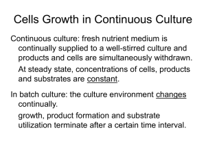 Cells Growth in Continuous Culture