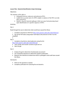 Lesson Plan - Bioinformatics Activity Bank